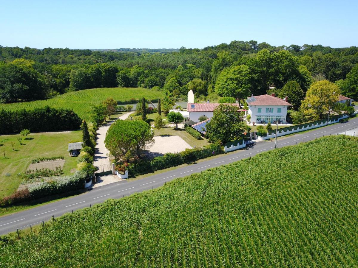 Bed and Breakfast Domaine de Millox à Saint-André-de-Seignaux Extérieur photo