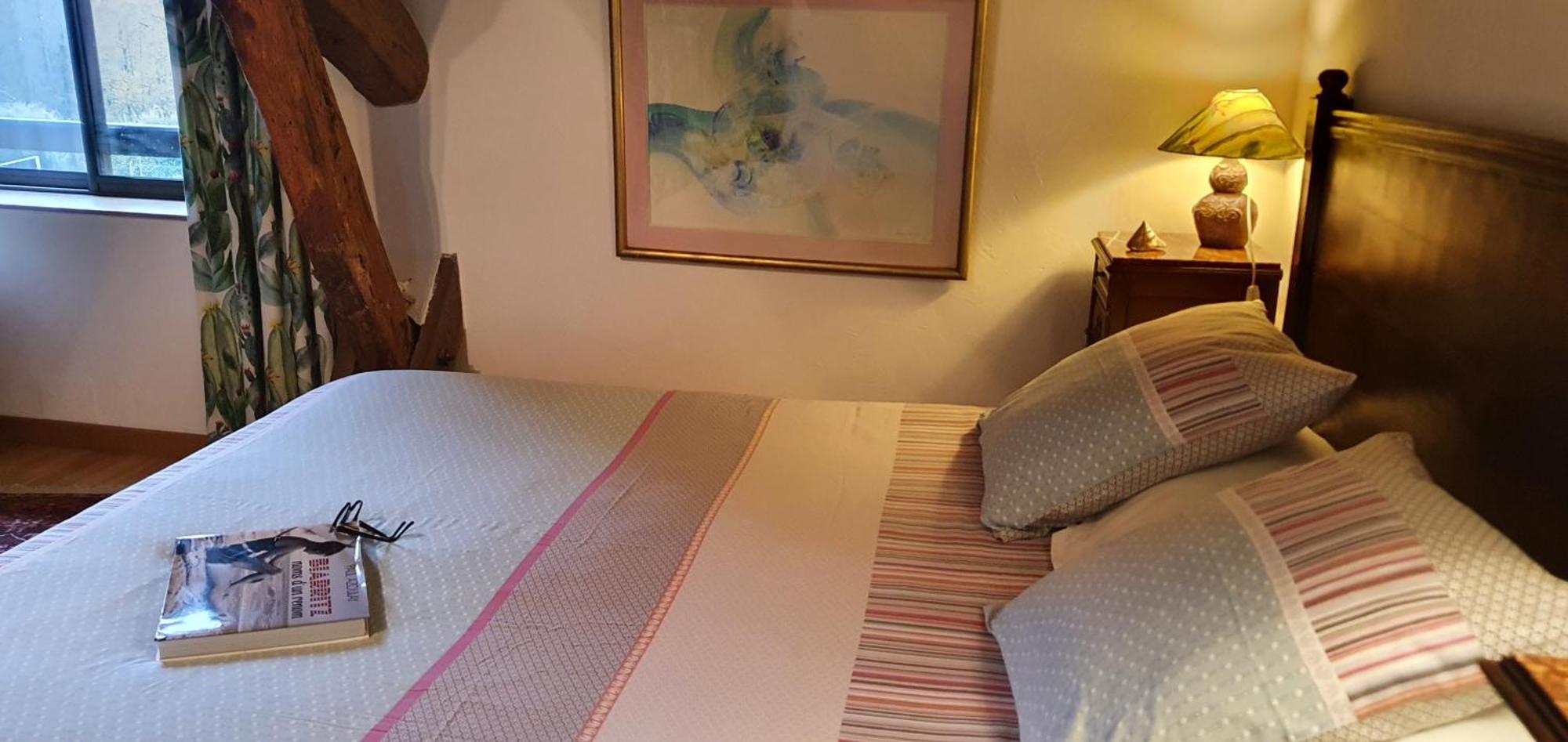 Bed and Breakfast Domaine de Millox à Saint-André-de-Seignaux Extérieur photo