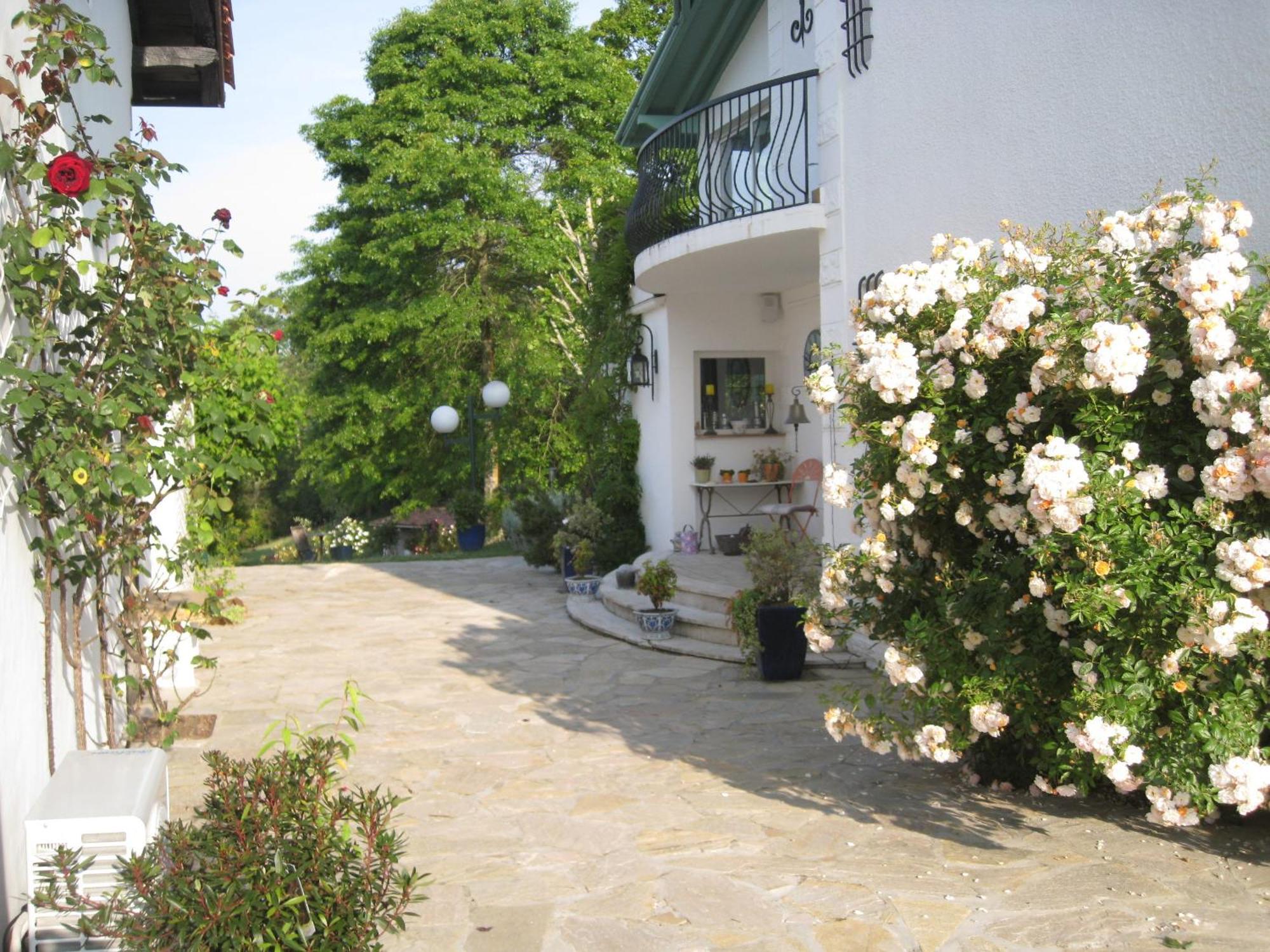 Bed and Breakfast Domaine de Millox à Saint-André-de-Seignaux Extérieur photo