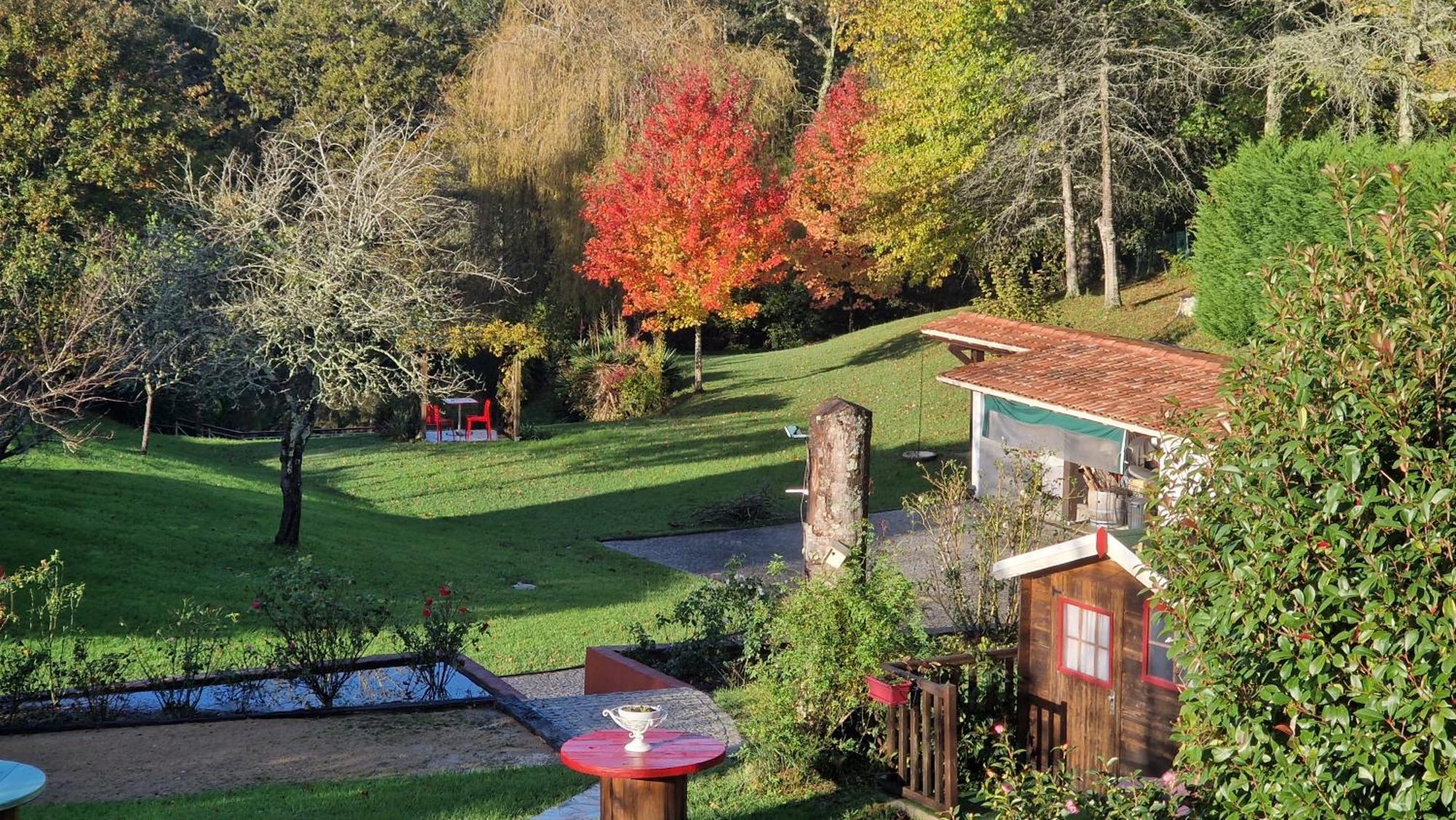 Bed and Breakfast Domaine de Millox à Saint-André-de-Seignaux Extérieur photo